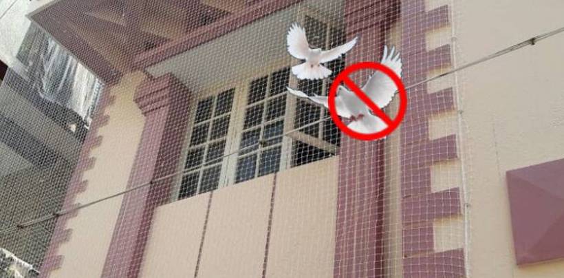 Pigeon Safety Nets Installation Cost in Hyderabad | Call 9908231644 Fixing Nets